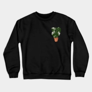 Pocket version of Albo Crewneck Sweatshirt